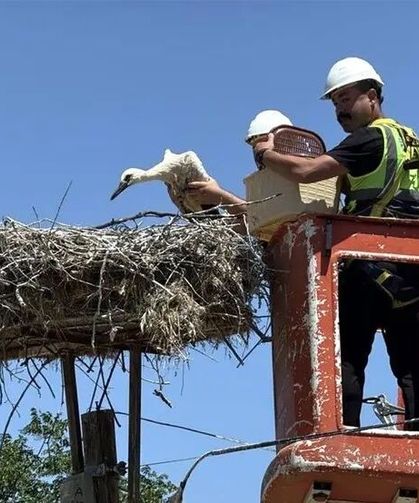 Adım başı yumurta çıkınca köyün adını değiştirdiler! Tamamını ele geçirdiler