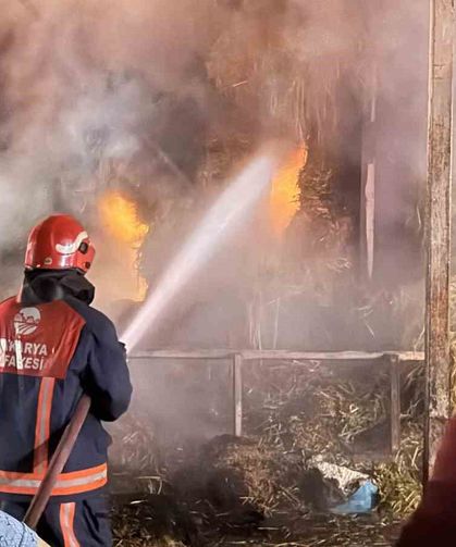 Sakarya’da samanlık yangını: 4 kişi hastanelik