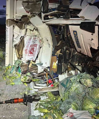 Tarsus-Pozantı Otoyolu’nda feci kaza: Kamyon sürücüsü hayatını kaybetti