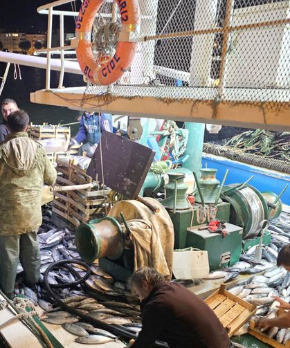 Palamut bereketi tezgaha vurdu: Bu fiyatı gören sevindi