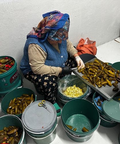 Gedelek Turşusu Neden Çıtır? İşte 700 Yıllık Geleneğin Sırrı