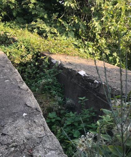 İznik’te 2 bin yıllık su kemeri ilgisizlikten çökmeye başladı