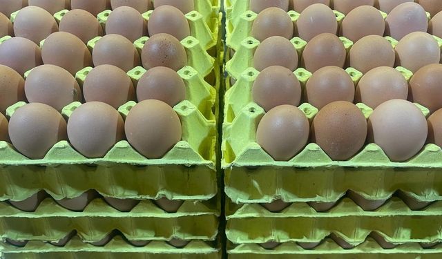 Bursa'da yumurtada fiyat şoku: Market 300, üniversite 200 Lira