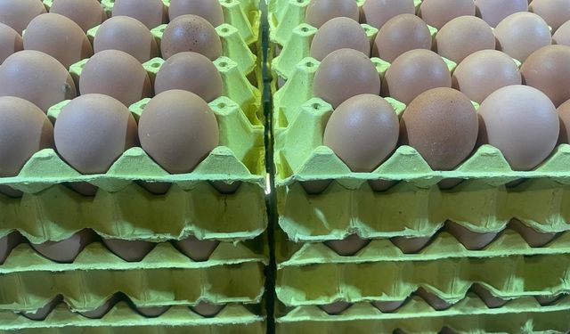 Yumurta fiyatları "mayıs çukuru" yaklaşınca düşüşe geçti