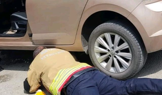 Aracın kaputuna giren yavru kediyi itfaiye kurtardı