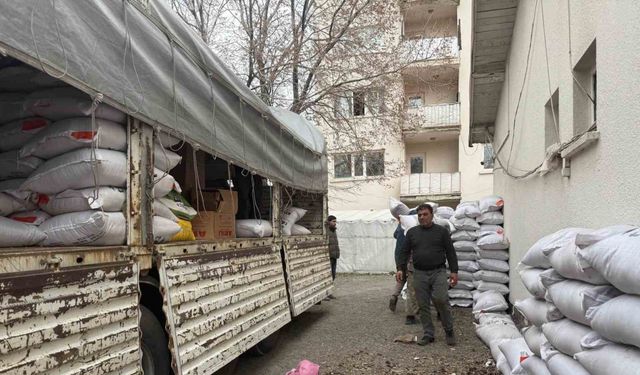 Diyadin’de çiftçiye korunga tohumu desteği