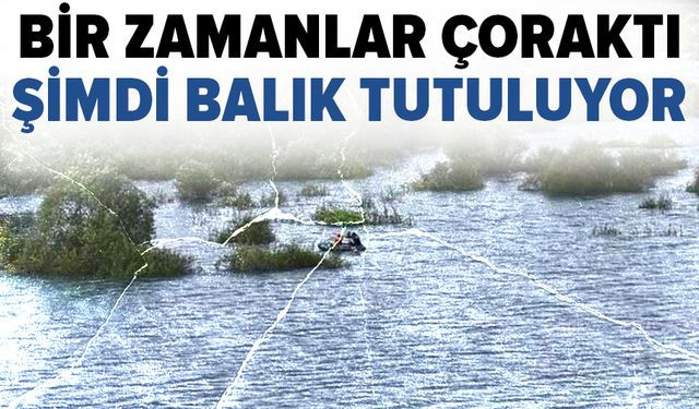 Bursa'da Gölbaşı Barajı'nda sevindirici artış