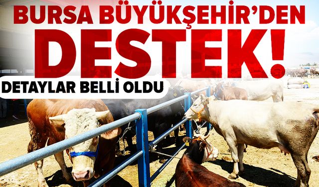Bursa Büyükşehir Belediyesi’nden ihtiyaç sahibi emeklilere Kurban Bayramı desteği