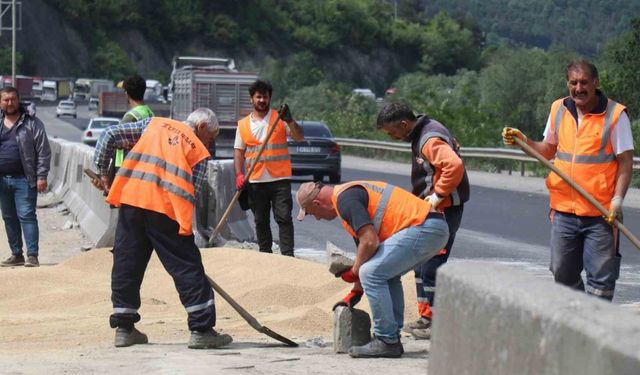 25 ton tavuk yemi D-650’ye savrulmuştu: Kapalı olan yol 2 saat sonra ulaşıma açıldı