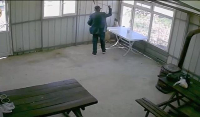 81 yaşındaki şahıs köy kahvesinde bakılan köpeğe dehşeti yaşattı