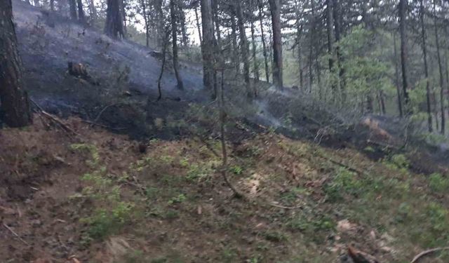 Afyonkarahisar’da orman yangını