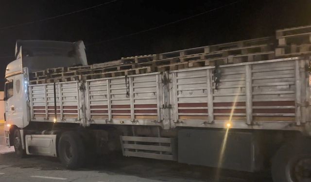 Bitlis’te 42 düzensiz göçmen yakalandı