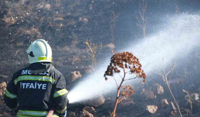 Bodrum’da otluk alanda çıkan yangın 5 dekarlık alanı küle çevirdi