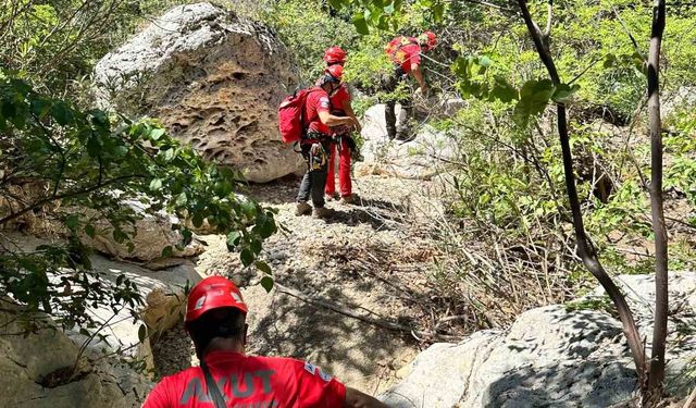 Fethiye’de derede mahsur kalan köpek kurtarıldı