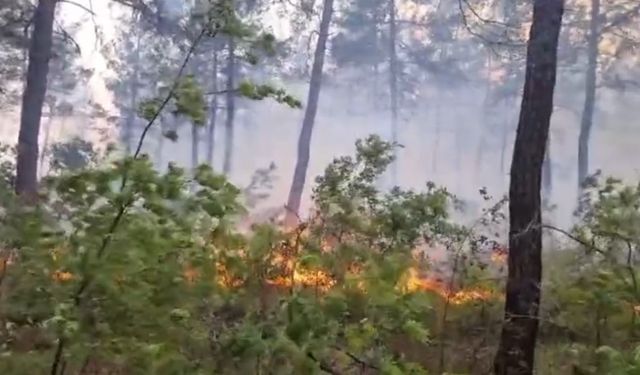 Kale’deki orman yangını rüzgarla birlikte ilerliyor