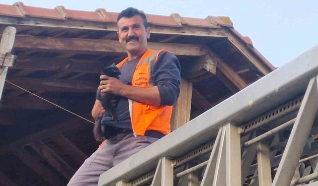Kastamonu’da evin çatısında mahsur kalan kediyi itfaiye ekipleri kurtardı