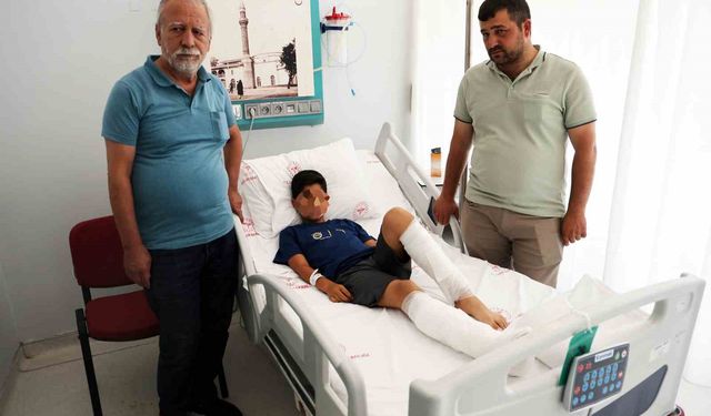 Köyceğiz’de köpek saldırısına uğrayan çocuğun ailesi konuştu