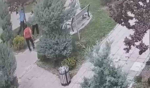 Mardin’de ağaçlara zarar veren bir grup genç, güvenlik kameralarına yakalandı