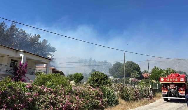 Marmaris’teki orman yangınını söndürme çalışmaları sürüyor