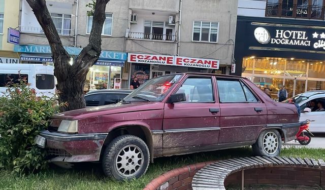 Park halindeyken haraket eden otomobil ağaraca çarparak durabildi