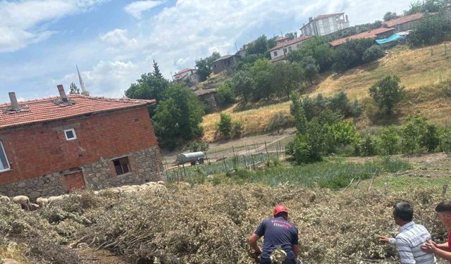 Sındırgı’da koyun damı çöktü, 2 koyun telef oldu