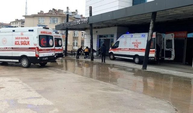 Sinop’ta mantar zehirlenmesi