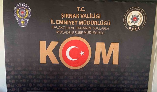 Şırnak’ta polis operasyonlarında 27 şüpheli hakkında adli işlem yapıldı