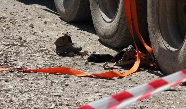 Tonlarca tomruk üzerine devrildi, hastanede hayatını kaybetti