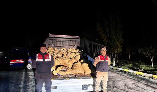 Van’da 3 ton 820 kilo kaçak avlanmış balık ele geçirildi