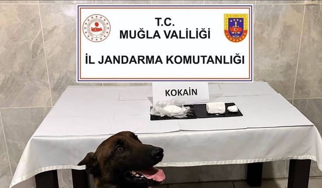 Yatağan’da yolcu otobüsünde 290 gram kokain yakalandı