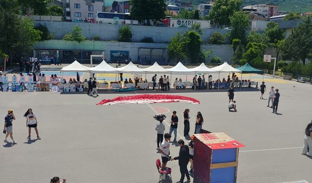 Bursa Yıldırım Ulubatlı Hasan Anadolu Lisesi'nden TUBİTAK başarısı