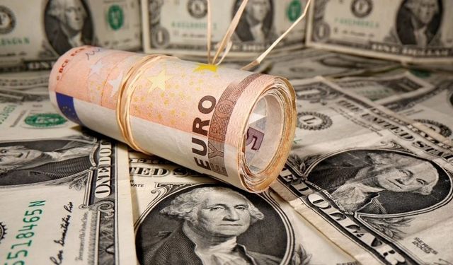 Dolar durdu, euro yükseldi
