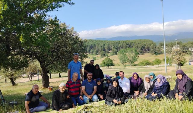 Bursa'da Gököz Köyü'nün yalnız çınarları, bir araya geldi