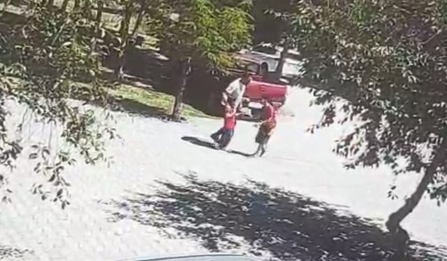 Ahlat’ta başıboş köpeklerin saldırısına uğrayan çocuk son anda kurtarıldı