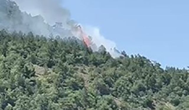 Ankara’da orman yangını çıktı