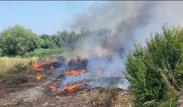 Bafra’da ot yangını korkuttu