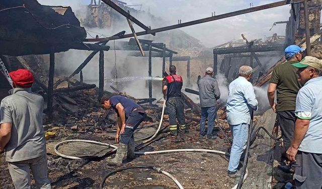 Bahçede yakılan ateş 2 ev ve 1 metruk binayı kül etti