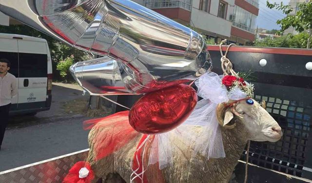 Beypazarı’nda gelin adaylarına ‘koç gönderme’ geleneği devam ediyor