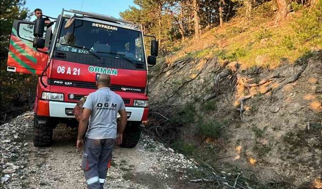 Beypazarı’nda orman yangını