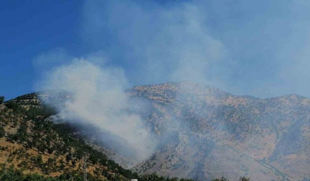 Kahramanmaraş’ta orman yangını