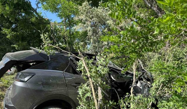 Kontrolden çıkarak ağaçlık alana giren otomobilde 3 kişi yaralandı