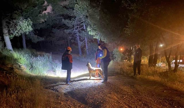 Pendik’te ormana girdikten sonra haber alınamayan şahıs için arama çalışmaları başlatıldı