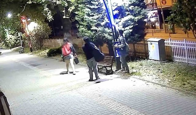 Pes dedirten görüntü: Eğlence için aydınlatma direklerine binlerce liralık zarar verildi