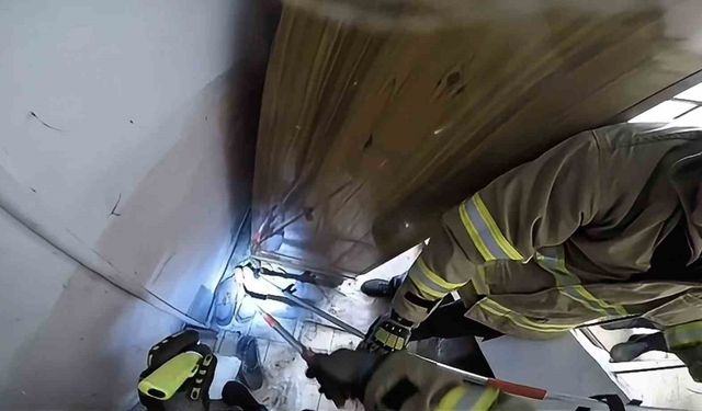 Safranbolu’da ayakkabılıkta zehirli engerek paniği