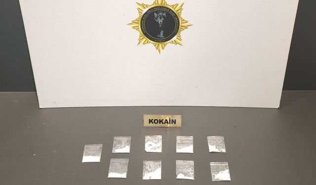 Samsun’da 9 paket kokain ele geçirildi: 1 gözaltı