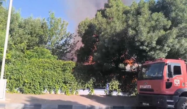 Siirt’te yanan işletme küle döndü