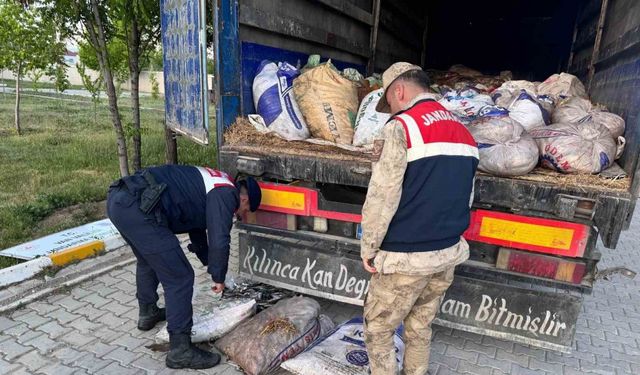 Van’da 19 ton 200 kilo inci kefali balığı ele geçirildi