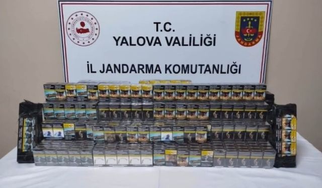 Yalova’da kaçak sigara operasyonunda 1 gözaltı