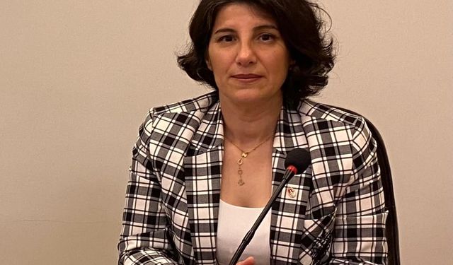 Bursa Veteriner Hekimler Odası Başkanı Baysal: Bu bir halk sağlığı krizidir