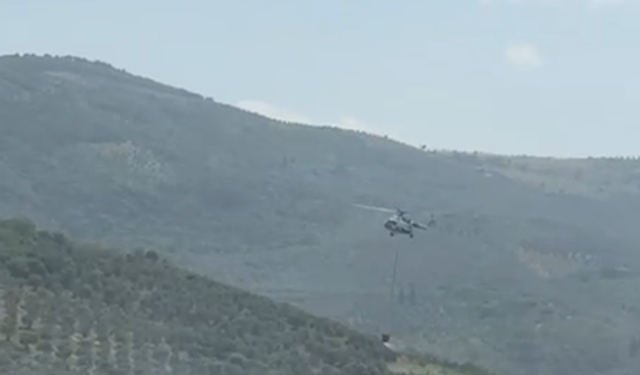 Bursa'da ormanlık alanda yangın!